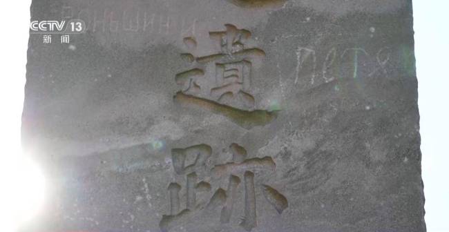 日本竟将大唐国宝列为其专有财产
