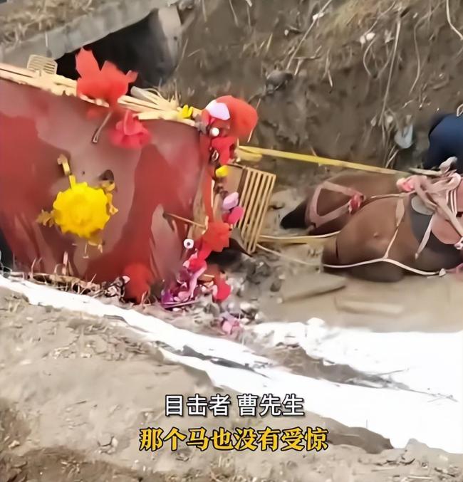 新人腊八结婚乘坐马车，没想到意外翻车掉进沟里