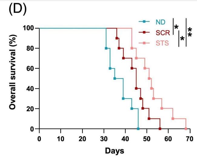 “饿死肿瘤”的方法真找到了吗