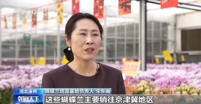 非遗映春 年宵花俏 解锁中国年消费新场景