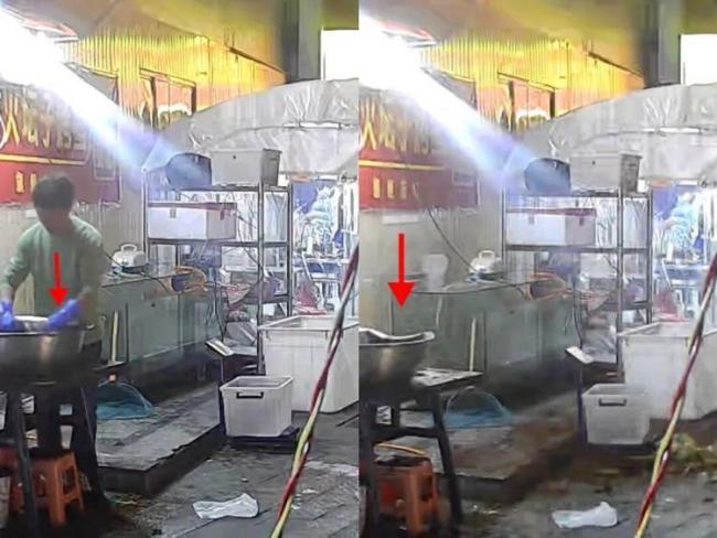 喂流浪猫躲过高坠花盆：被猫救了一命