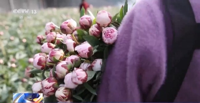 非遺映春 年宵花俏 解鎖中國年消費新場景