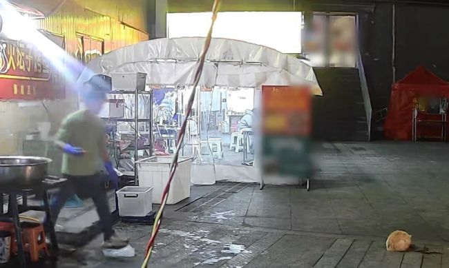 老板喂流浪猫躲过高空坠花盆 善举换福报