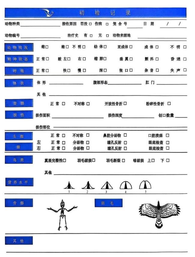 大兴安岭猞猁“打卡”检查站 救助与守护的故事