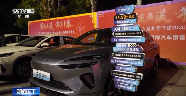 非遗映春 年宵花俏 解锁中国年消费新场景