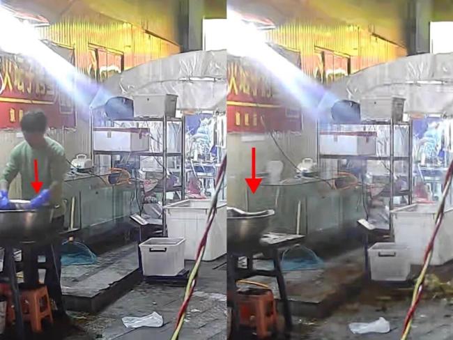 喂流浪猫男子称无意的善举换来福报