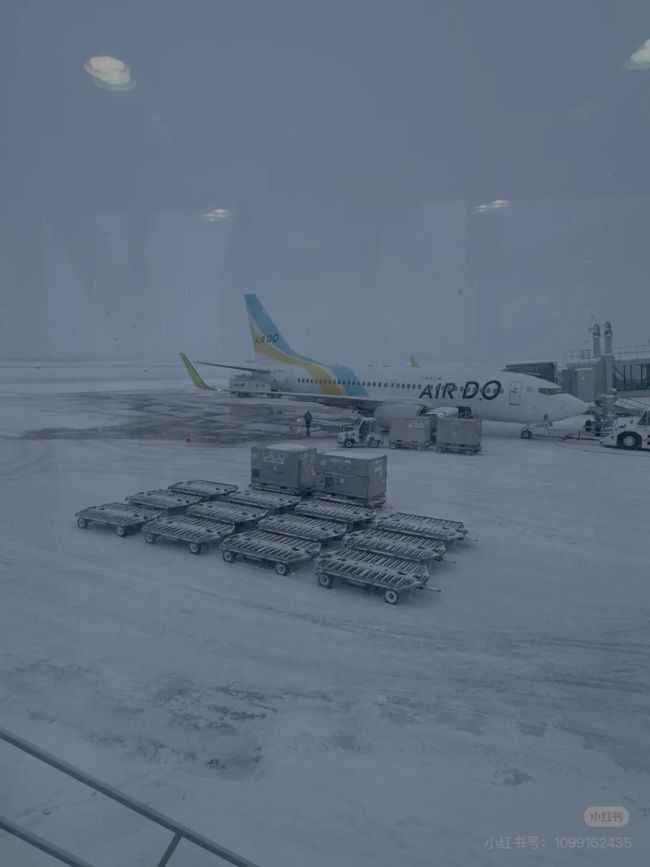 多位中国网友发文称滞留日本 暴雪致交通瘫痪