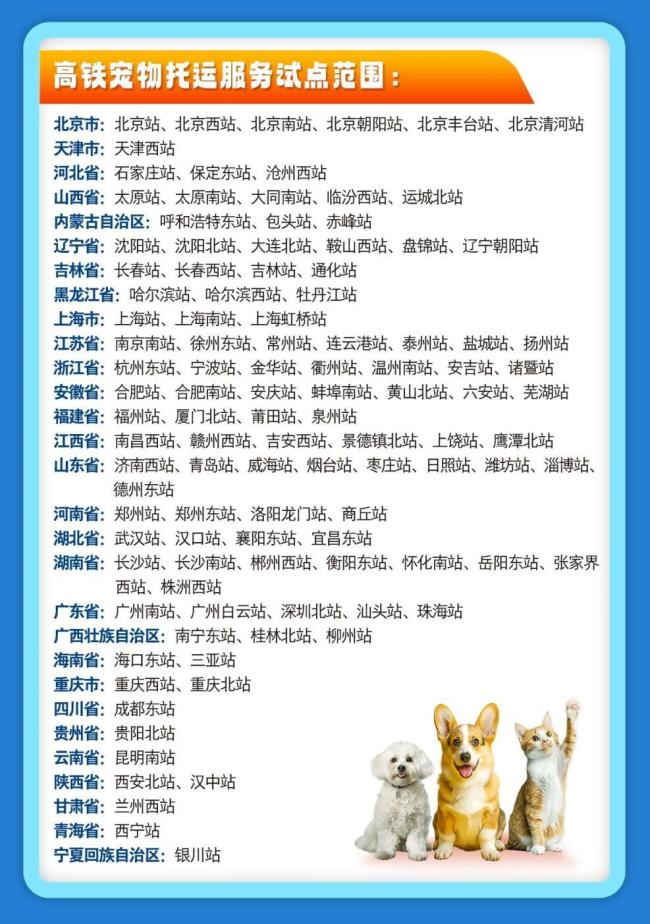 过年回家怎么带宠物坐高铁