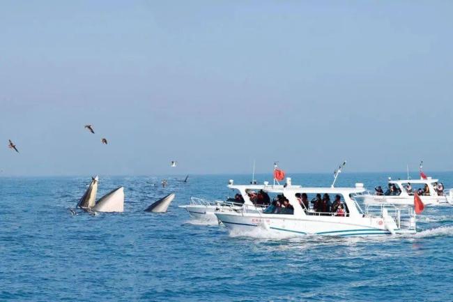 家属修起渔船侧翻船长溺一火