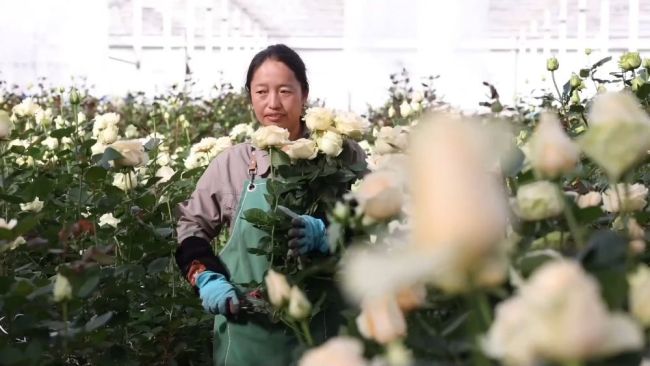 开年看消费 活力在中国奔涌