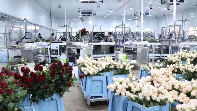 开年看消费 活力在中国奔涌