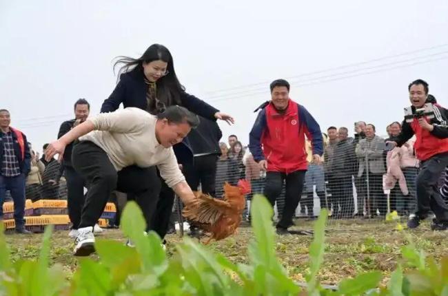 媒体：重庆“呆呆”的作业不能轻易抄 盲目跟风隐患多
