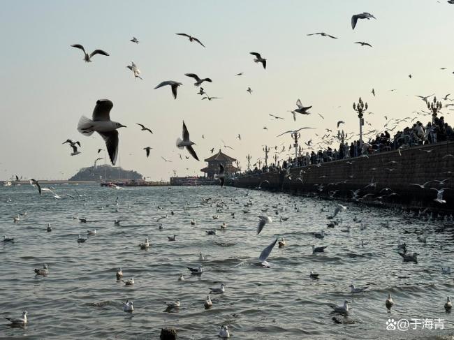 山东GDP破10万亿 为何这么强 厚积薄发的力量