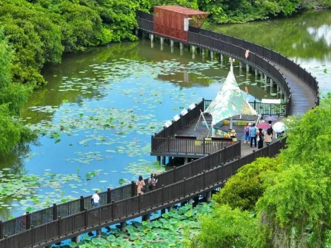 《嘉禾望岗》装得下多少青春回响 千万人的情感集纳地