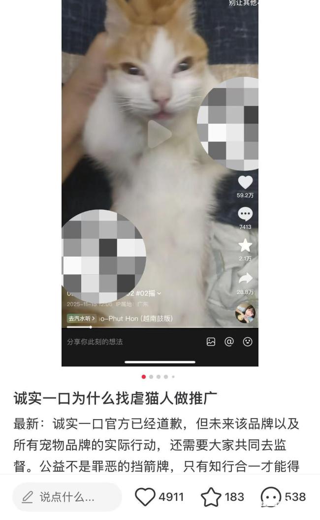 宠物博主被指虐猫后品牌方致歉