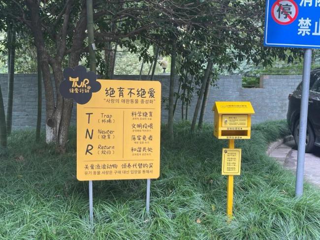 薩摩耶被兩娃燒死主人回應(yīng)質(zhì)疑 社區(qū)治理困境顯現(xiàn)
