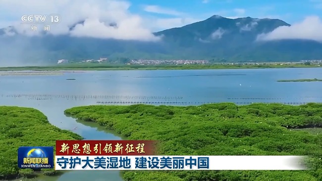 新想想引颈新征途丨看护大好意思湿地 建设飘逸中国