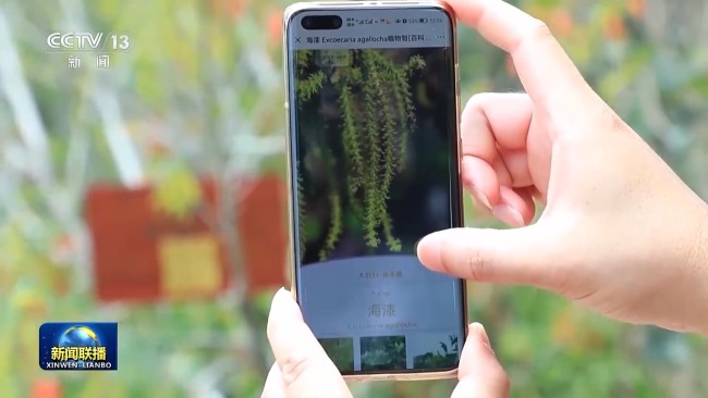 新想想引颈新征途丨看护大好意思湿地 建设飘逸中国