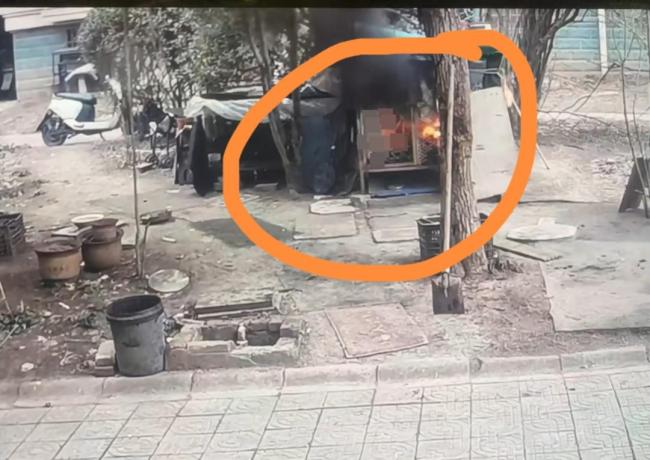 律师称烧死萨摩耶两男孩家长需担责 烟花引燃悲剧引发热议