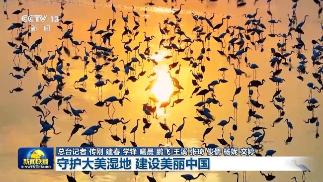 新想想引颈新征途丨看护大好意思湿地 建设飘逸中国