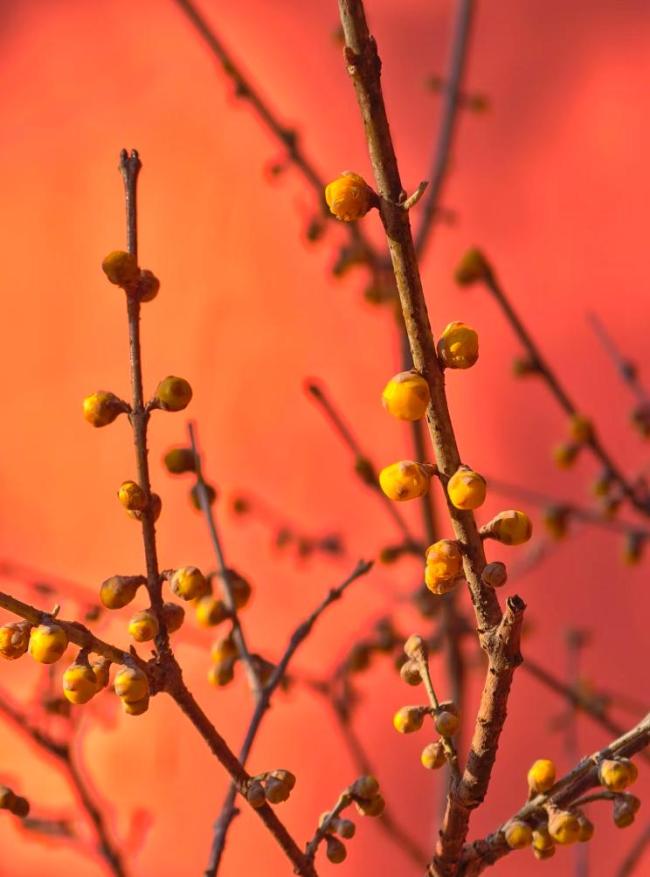 北京今晚有七级阵风，明后两天气温大幅下降