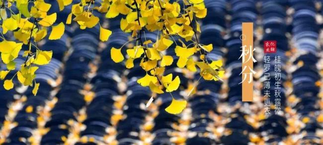 从立春出发品味中国人的“时间观” 千年智慧的现代回响