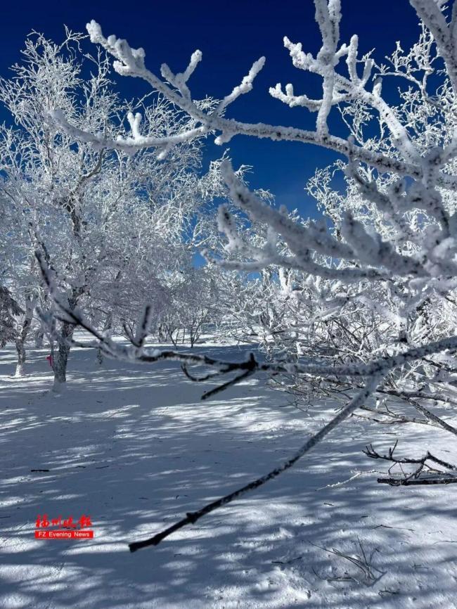男孩去东北吃几口雪发烧到39.1度 尝雪需谨慎