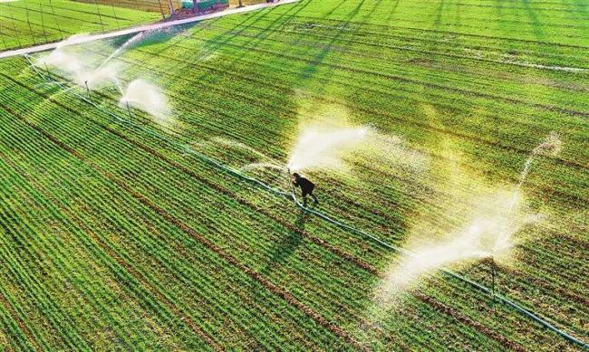 落实中央一号文件 河南怎么干 锚定目标细化举措