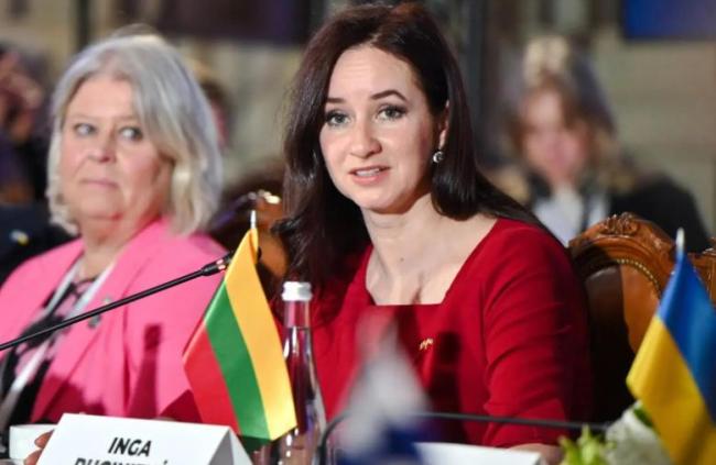 立陶宛承认：对中国犯了大错 经济代价惨重