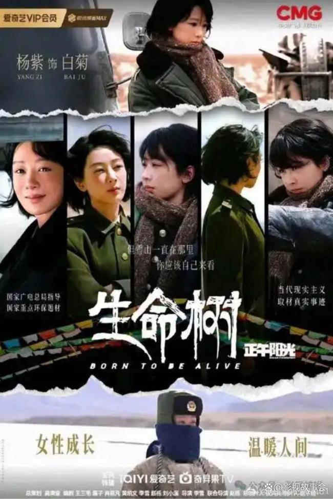 娱评人：不要因为题材错过《生命树》