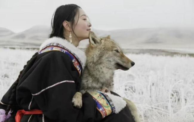 《重返·狼群》翻红带来流量新考题 李微漪与格林的双向奔赴