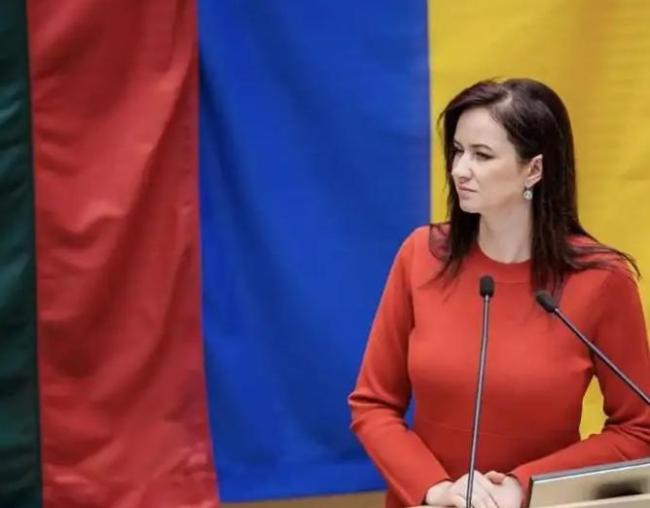 立陶宛承认对中国犯了大错 自食其果警醒小国