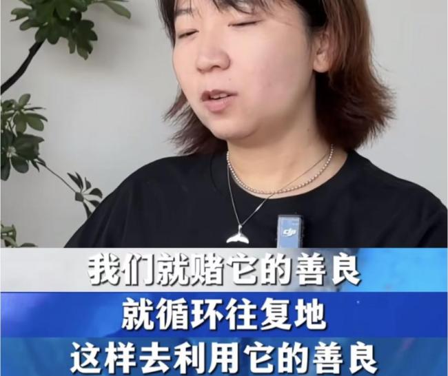 《重返·狼群》翻红带来流量新考题 李微漪与格林的双向奔赴