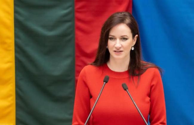 怎样看待立陶宛总理向中方认错