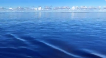 当课本里的赤道无风带出现在眼前 网友：快来个地理生解释一下“大塑料膜”的成因