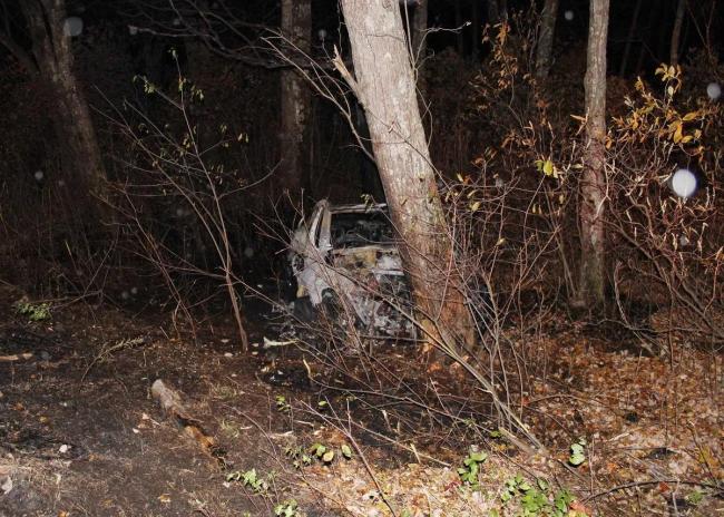 美国一男子开ModleY出车祸起火被烧死