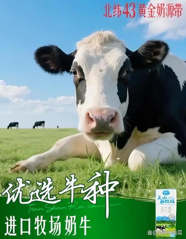 破产清算、巨亏7亿!又一网红品牌跌落神坛,曾营收近10亿 从辉煌到危机