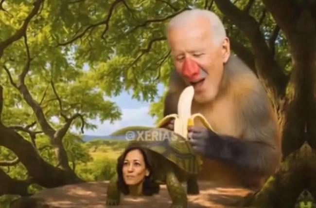 学者：特朗普羞辱奥巴马引众怒 种族歧视再掀波澜