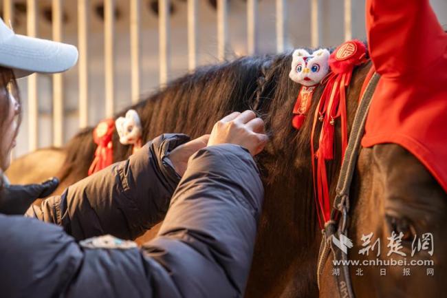 马年的精神状态实录 师生共迎新春