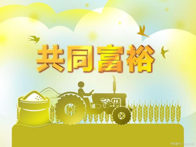 杭州多名网友晒村里年底分红 乡村财富密码揭晓