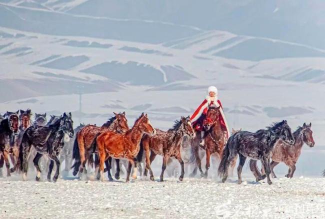 贺娇龙抢救前还在安排责任