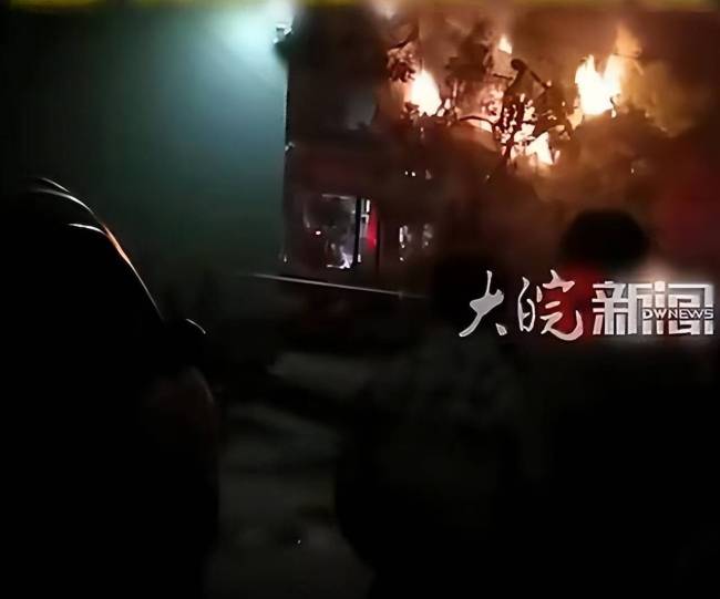 1200年树龄古樟树起火连续烧7小时 文化遗产受损引发关注