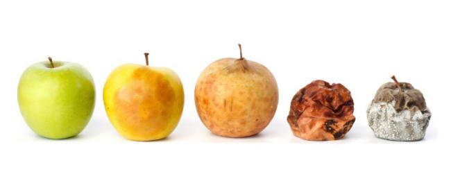 车厘子价格腰斩口感打折 品质问题引热议