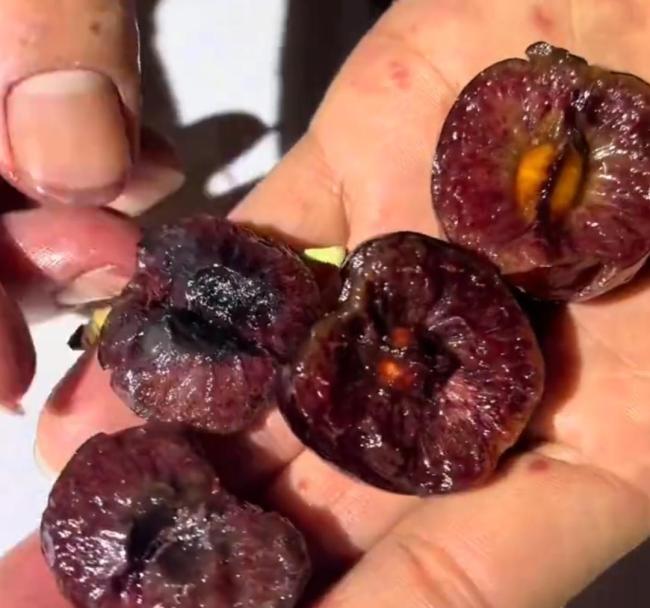 车厘子价格腰斩口感打折 品质问题引热议