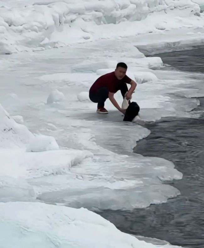 母女落入冰河险被冲走 游客合力救起 众人英勇救援