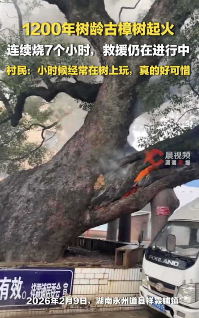 湖南道县一棵千年古樟树起火冒烟 明火已扑灭待专家评估