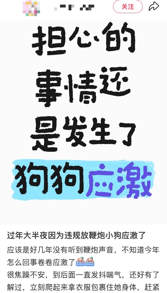春节多地限时限区燃放烟花爆竹,人类的节日宠物的难日,为何宠物害怕鞭炮声!