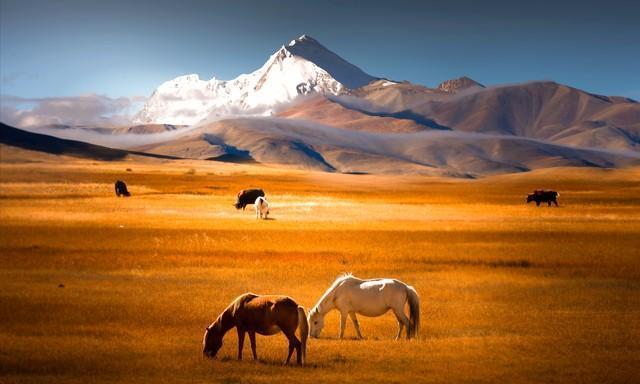 终于找到是56个民族的凭据 碰撞融合的史诗