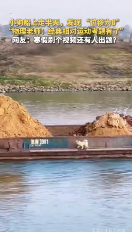 小狗船上走半天发现“位移为0”