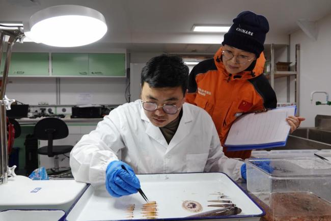 “雪龙”号在南极为啥要“捞”磷虾 南极“粮仓”促进产业升级